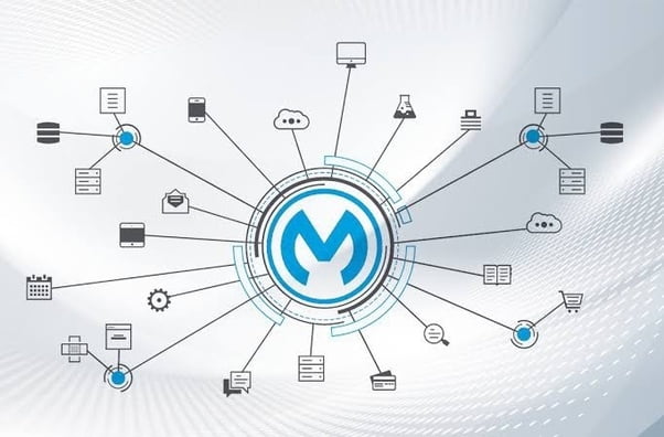The Scope of MuleSoft for Big Organizations - Zeus Systems INC